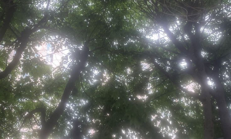 글벗🌿 모임 대표 이미지