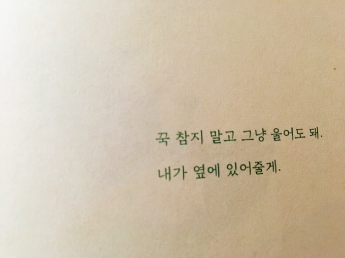 여온님의 숲 강아지 게시물 이미지