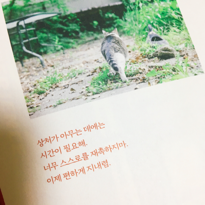여온님의 리뷰 이미지 1 - 고양이가 그랬어 행복은 빈 상자 속에 있다고