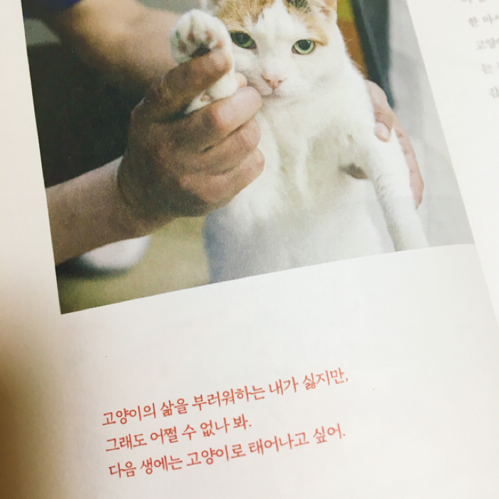 여온님의 리뷰 이미지 0 - 고양이가 그랬어 행복은 빈 상자 속에 있다고