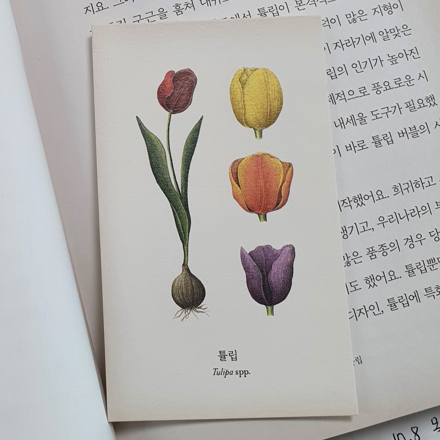 디엔님의 식물의 책 게시물 이미지