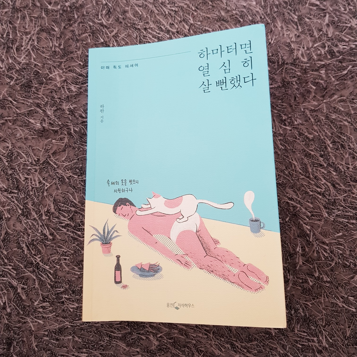 Jo su jung(조수정)님의 리뷰 이미지 0 - 하마터면 열심히 살 뻔했다 (야매 득도 에세이)