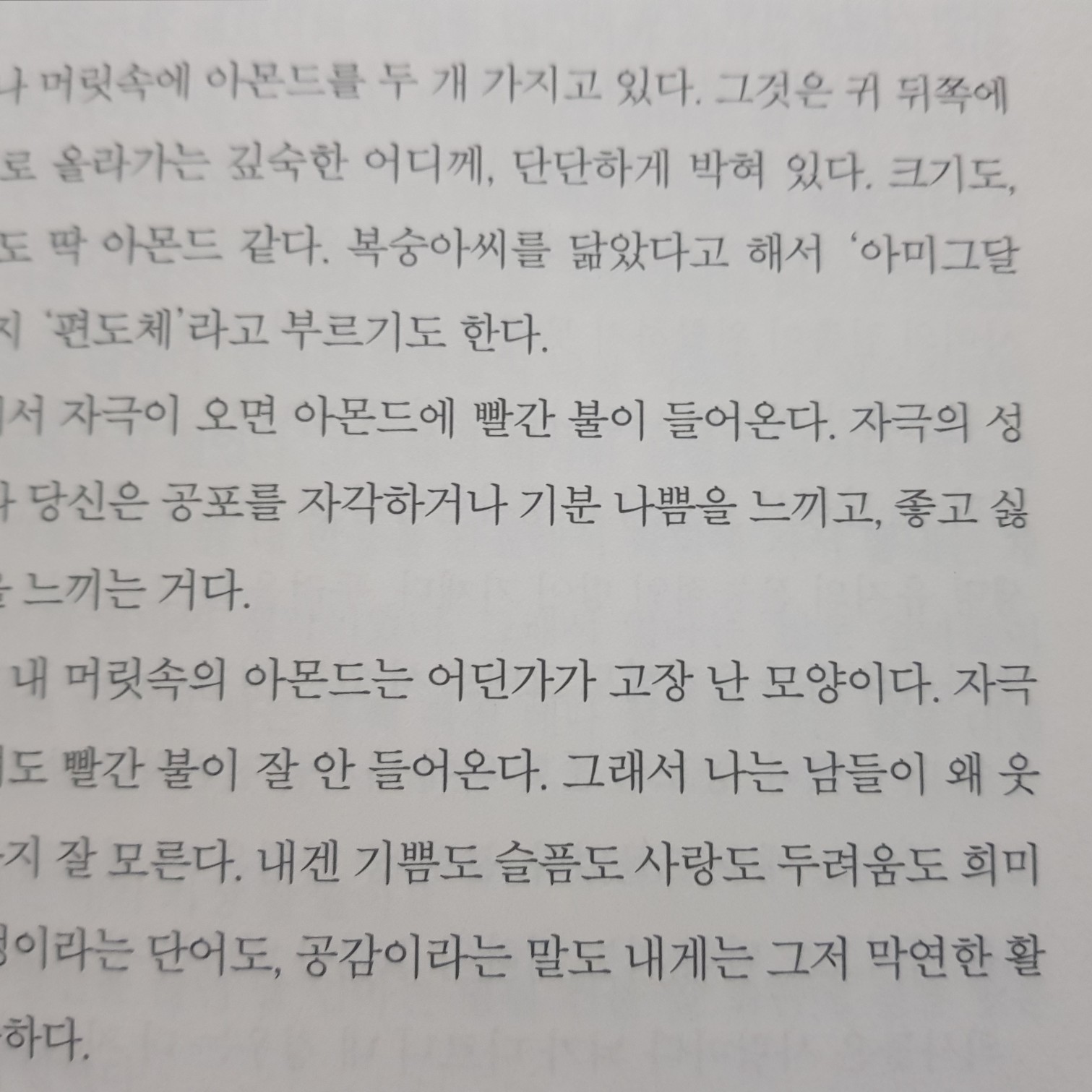 임해빈님의 아몬드 게시물 이미지