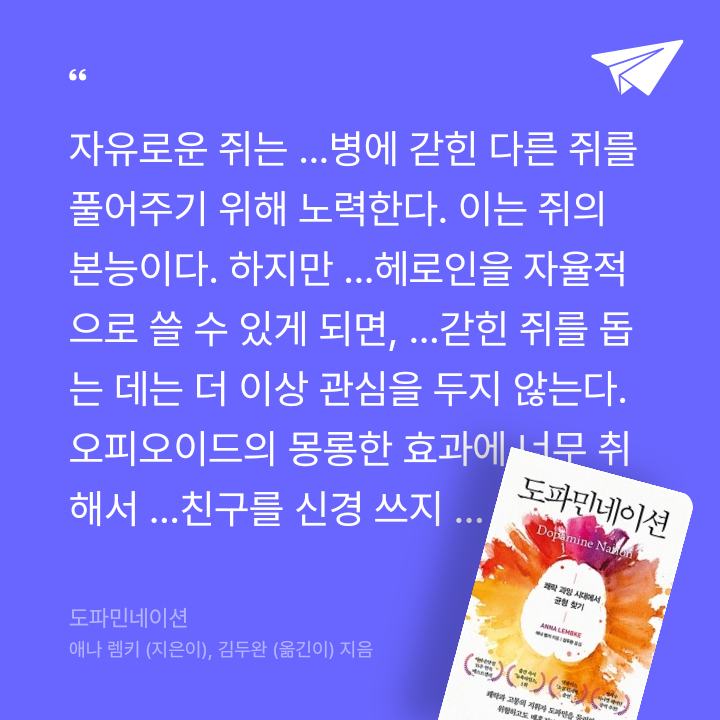 978765님의 도파민네이션 게시물 이미지