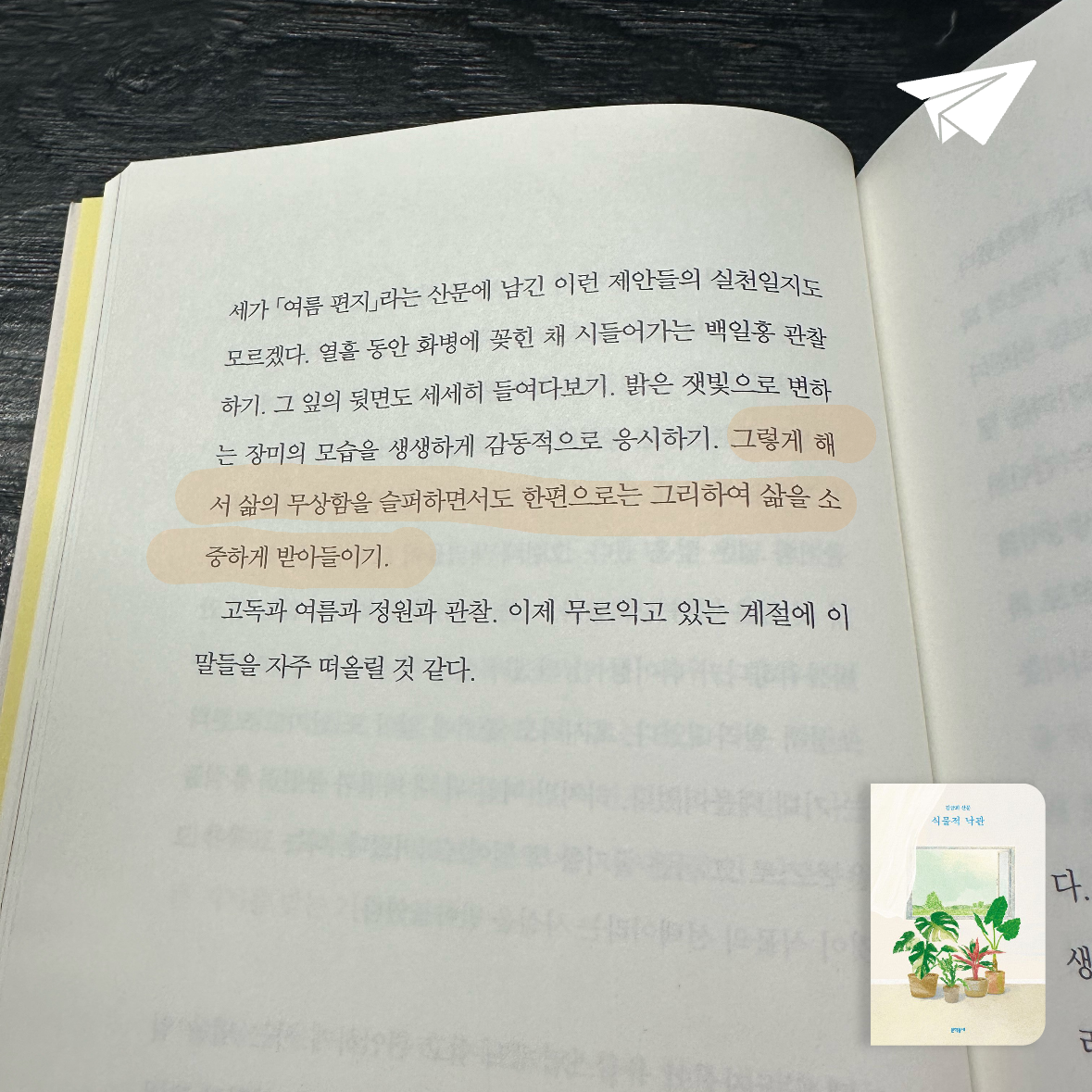 기메님의 리뷰 이미지 0 - 식물적 낙관