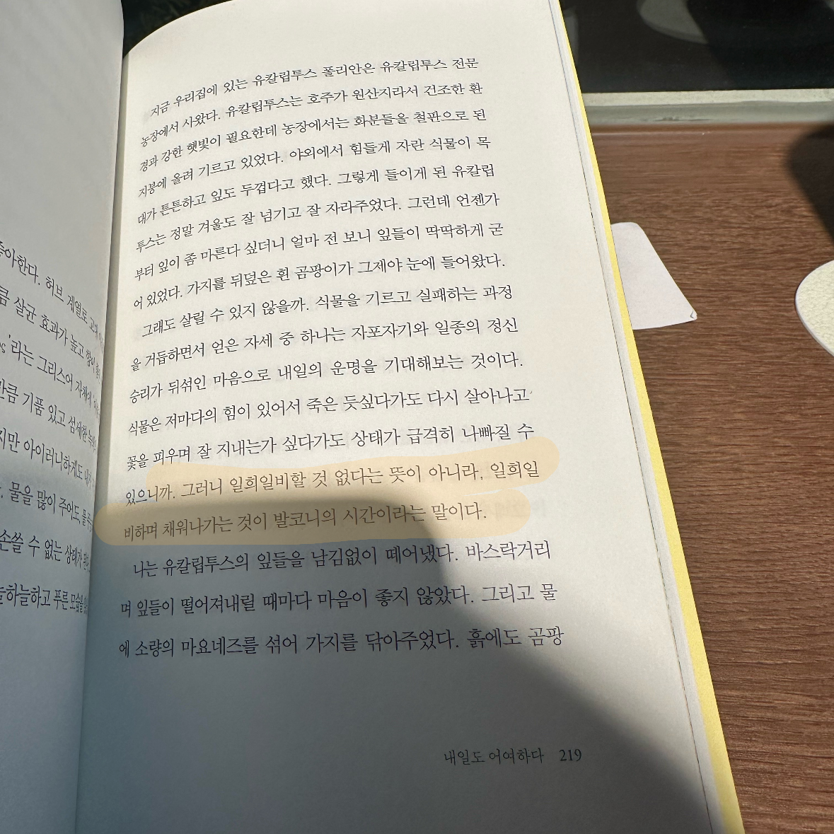 기메님의 식물적 낙관 게시물 이미지