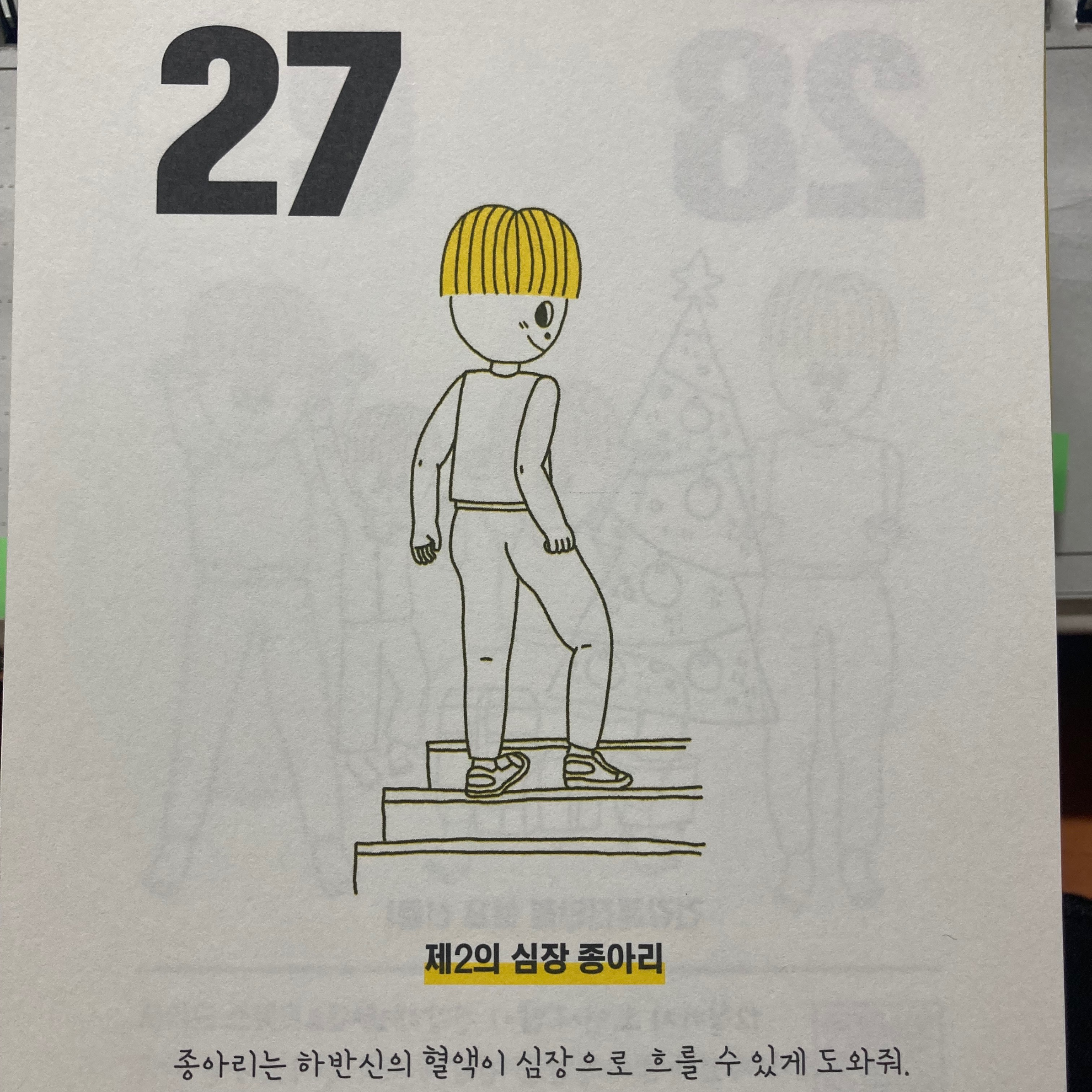 사계절 독서가님의 오늘부터 시작하는 건강 일력 365 게시물 이미지