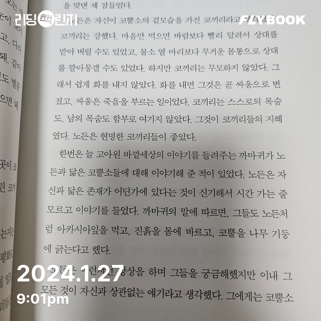 피치몬님의  게시물 이미지