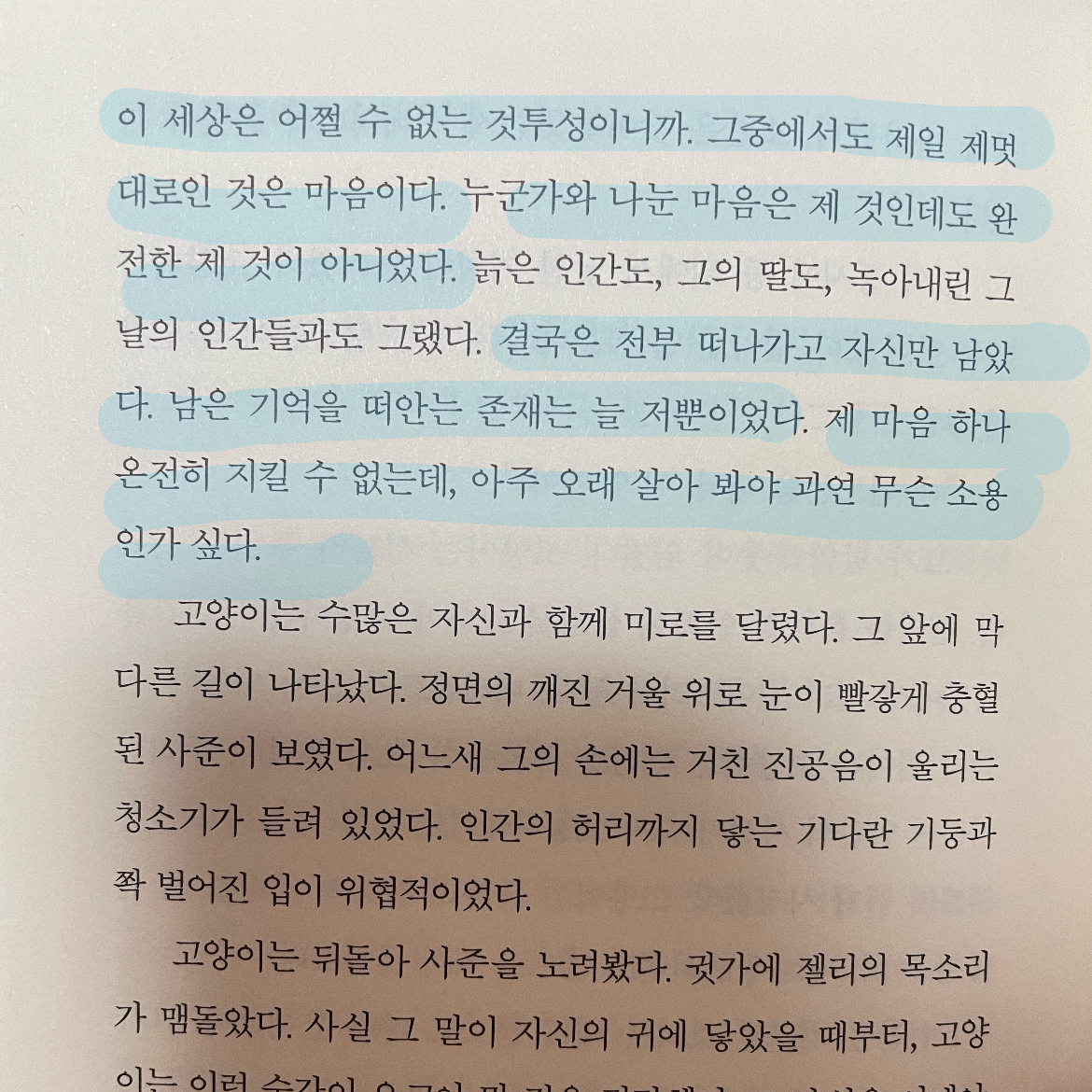 현지 ◡̎님의 뉴서울파크 젤리장수 대학살 게시물 이미지