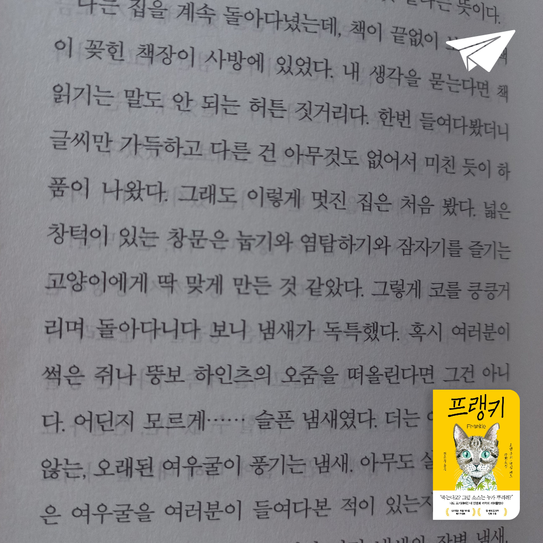 김정희님의 프랭키 게시물 이미지