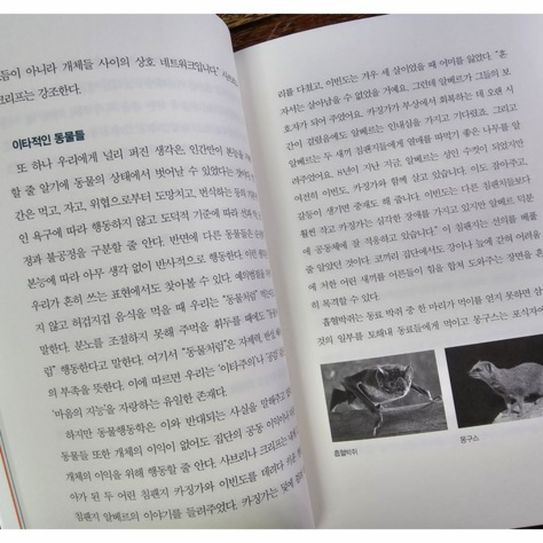 김수연님의 리뷰 이미지 2 - 토끼는 당근을 먹지 않는다 (우리가 동물에 대해 알아야 할 진실)