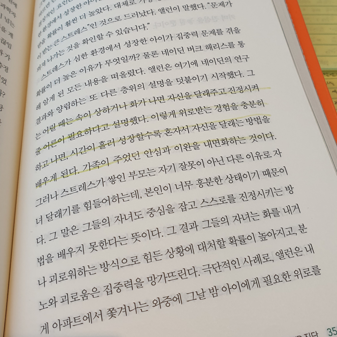 김나현님의 도둑맞은 집중력 게시물 이미지