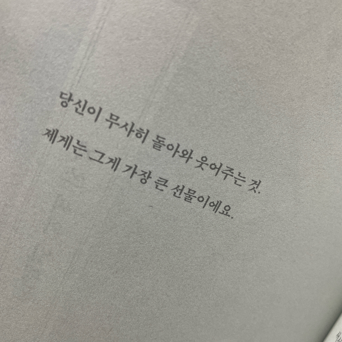 현지 ◡̎님의 리뷰 이미지 0 - 로터스 택시에는 특별한 손님이 탑니다