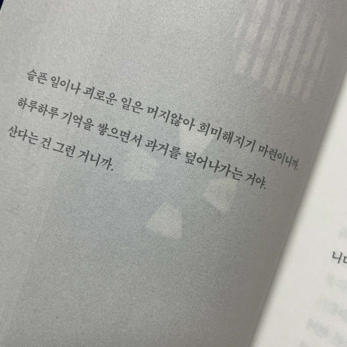 현지 ◡̎님의 로터스 택시에는 특별한 손님이 탑니다 게시물 이미지