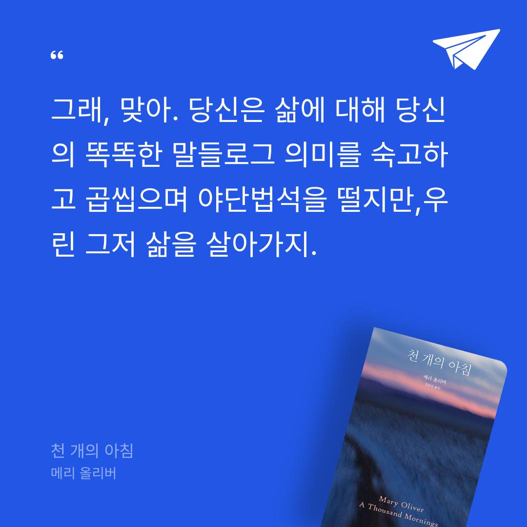 비기노님의 천 개의 아침 게시물 이미지