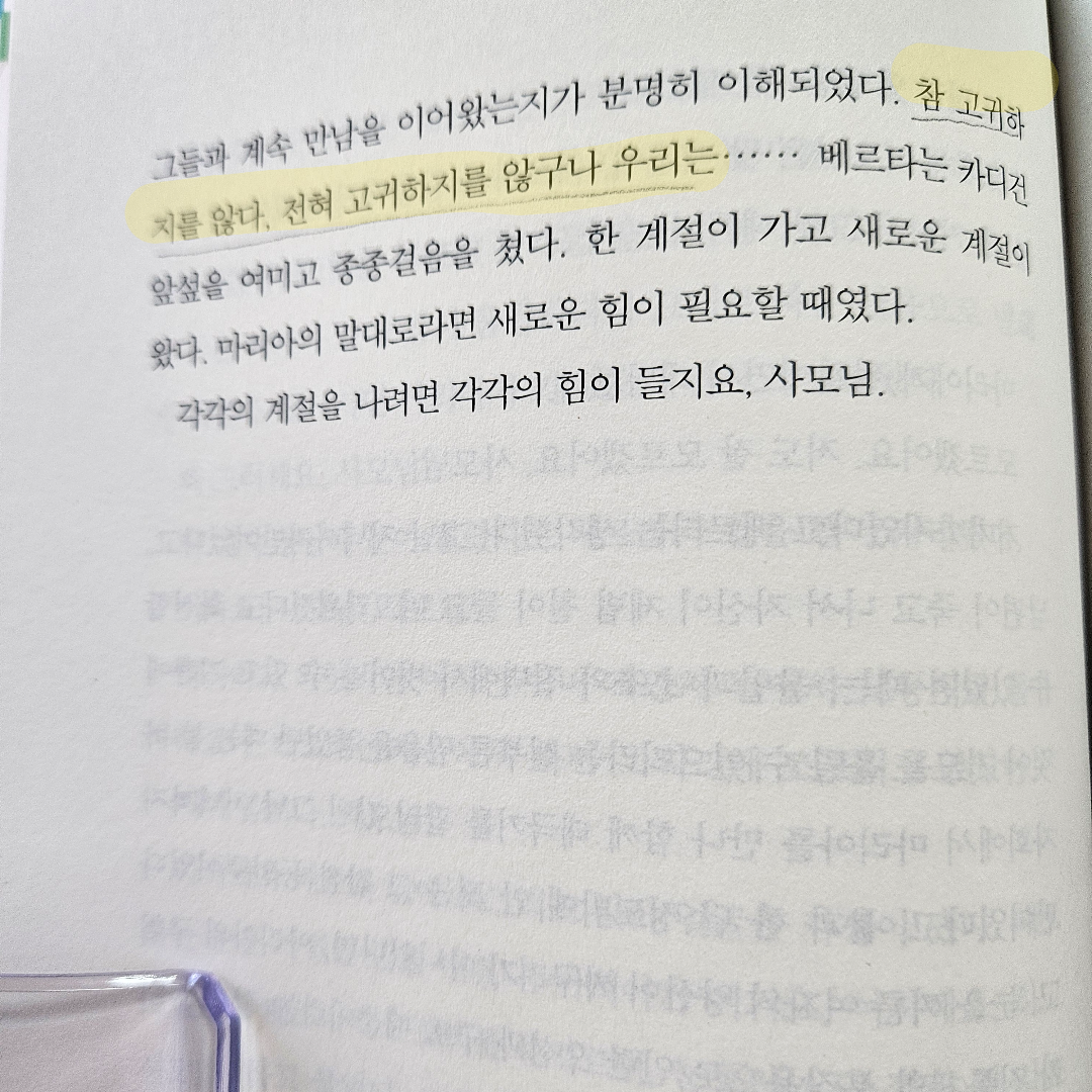 새봄새봄님의 각각의 계절 게시물 이미지