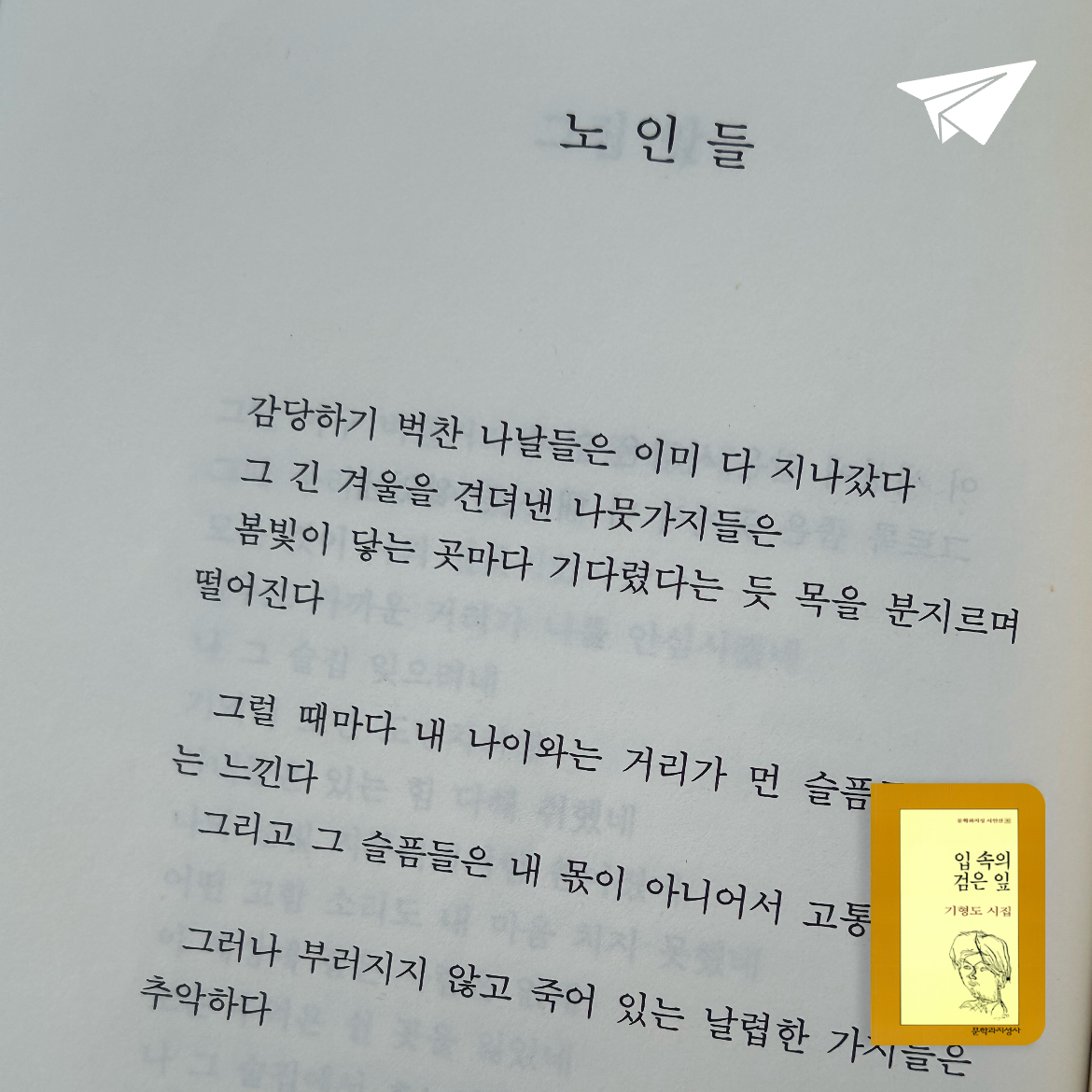 총각님의 입 속의 검은 잎 게시물 이미지