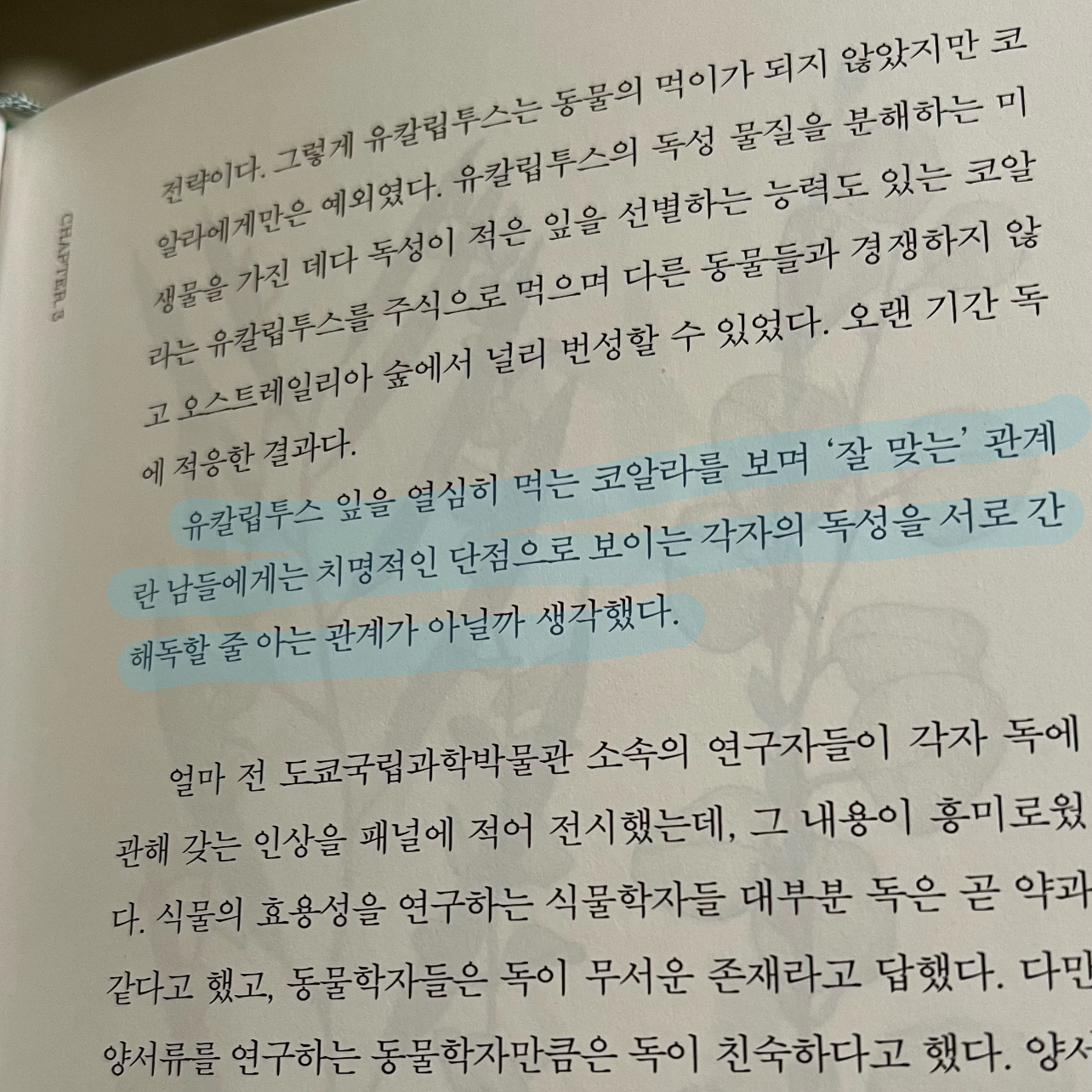 25th hour님의 식물에 관한 오해 게시물 이미지