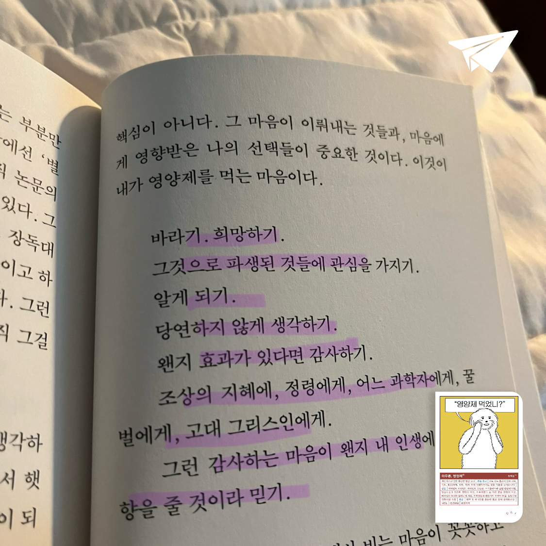 :)님의 아무튼, 영양제 게시물 이미지