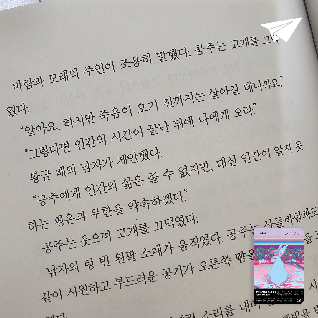 미래님의 저주토끼 게시물 이미지