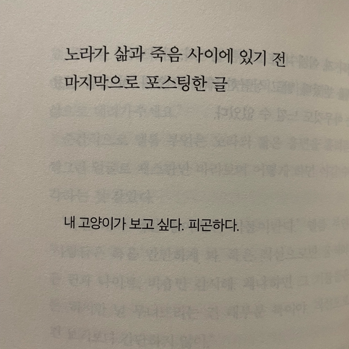 히수님의 미드나잇 라이브러리 게시물 이미지