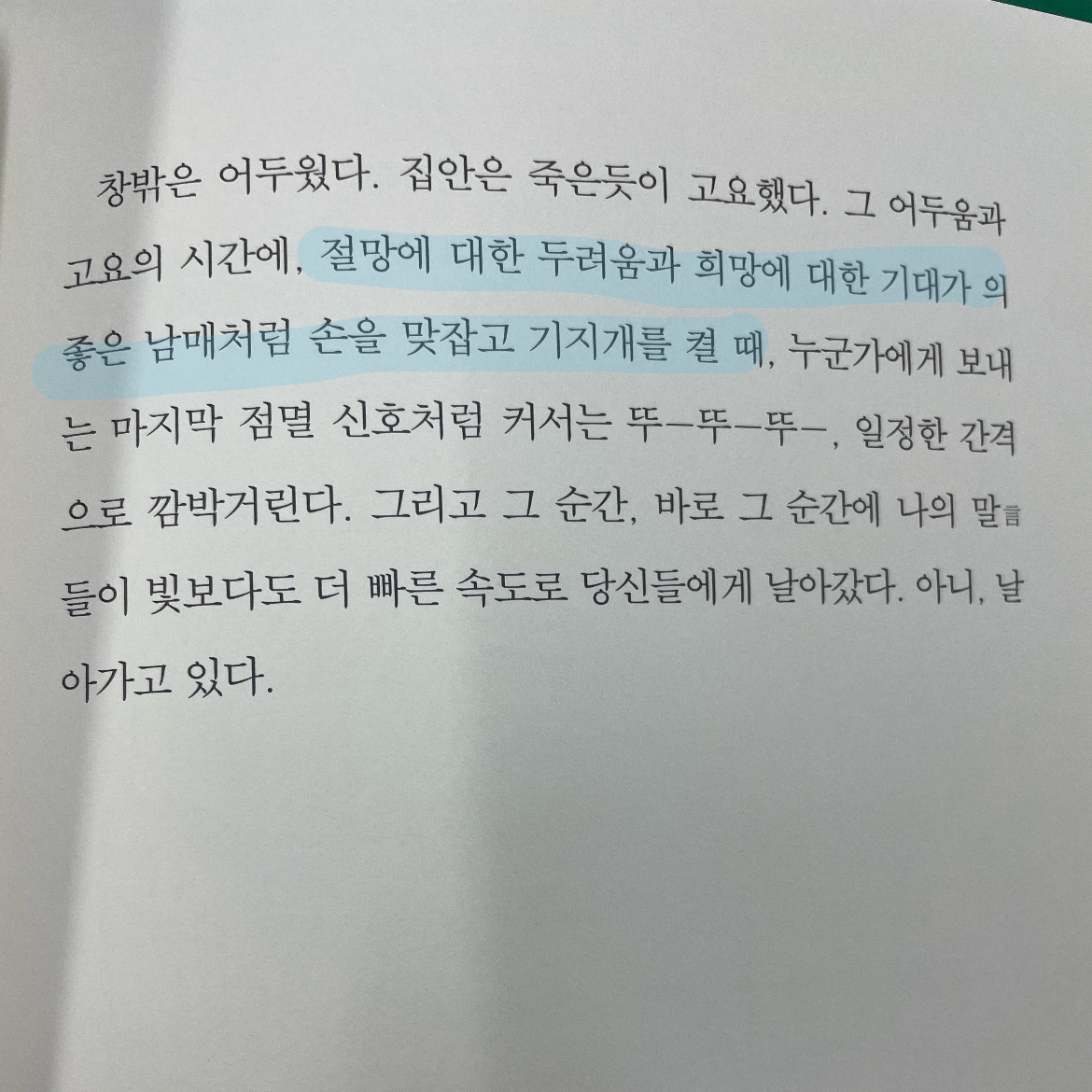 현지 ◡̎님의 폴링 인 폴 게시물 이미지