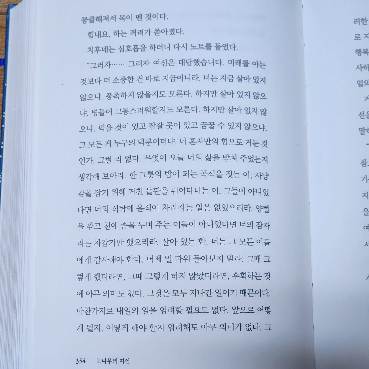 메멘토모리님의 녹나무의 여신 게시물 이미지