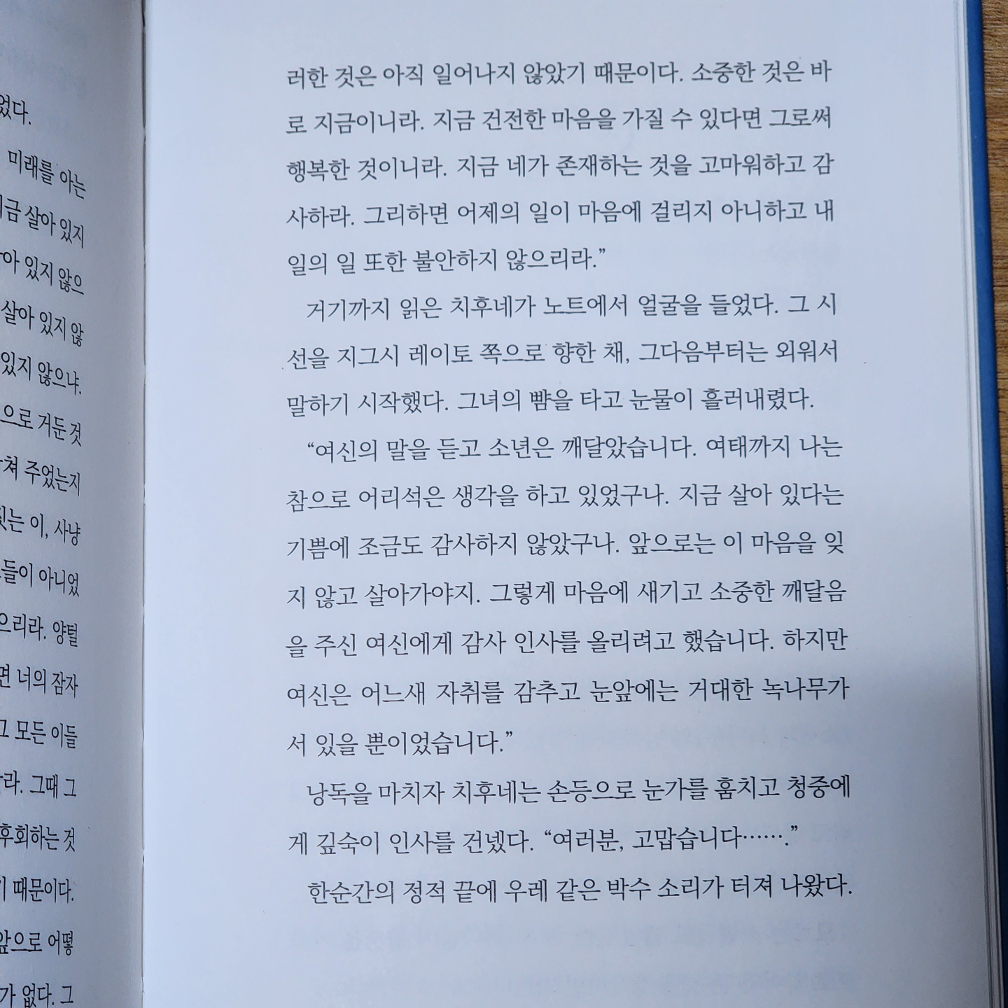 메멘토모리님의 녹나무의 여신 게시물 이미지