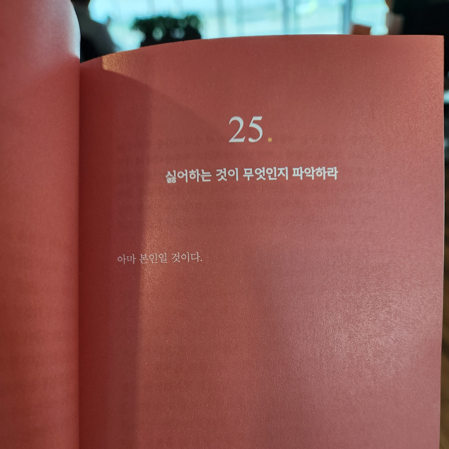 메멘토모리님의 리뷰 이미지 0 - 예술가가 되는 법