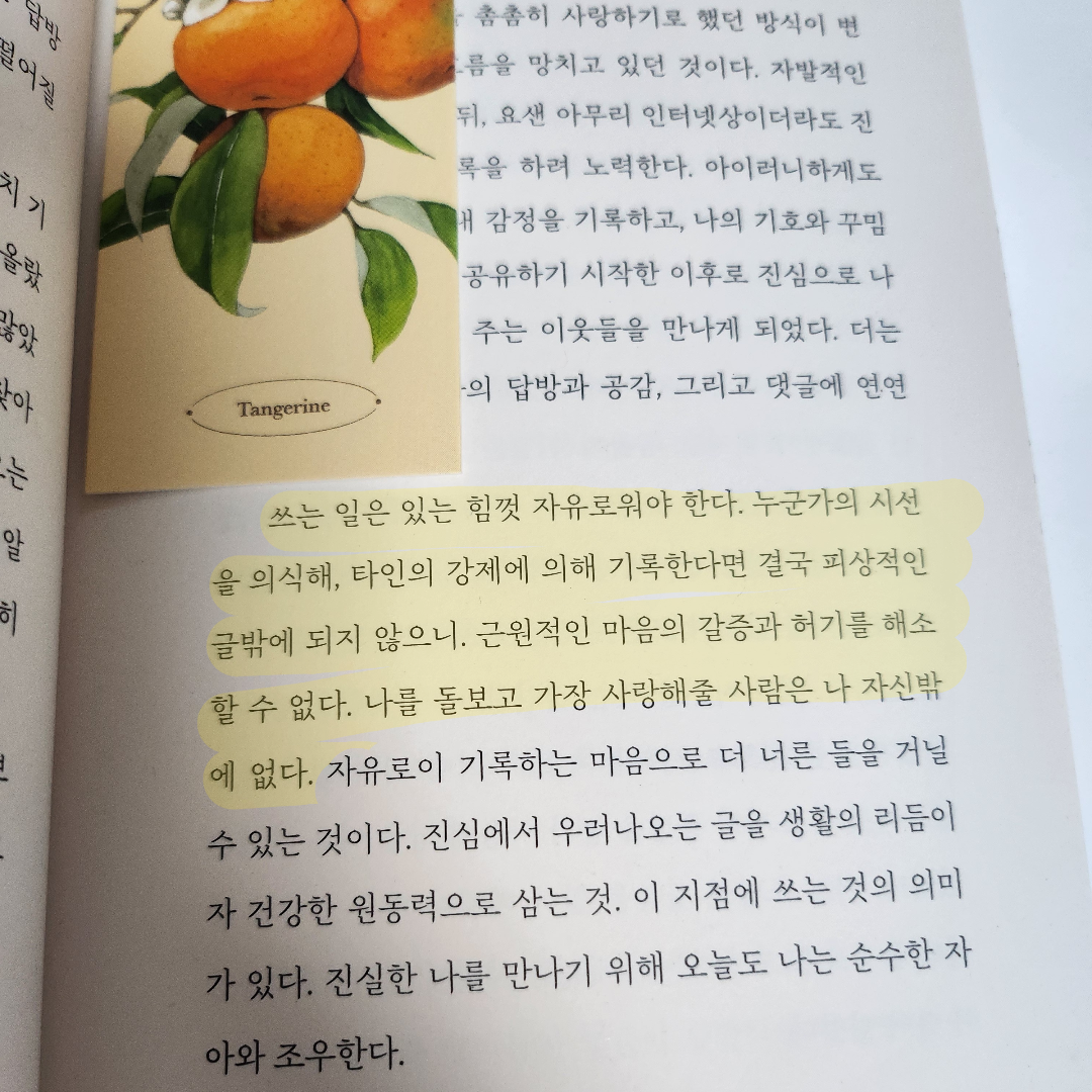 몽글님의 기록하는 태도 게시물 이미지