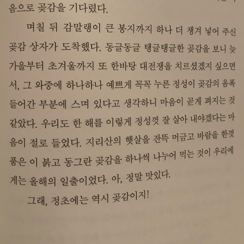 진희님의 리뷰 이미지 1 - 전국축제자랑 (이상한데 진심인 K-축제 탐험기)