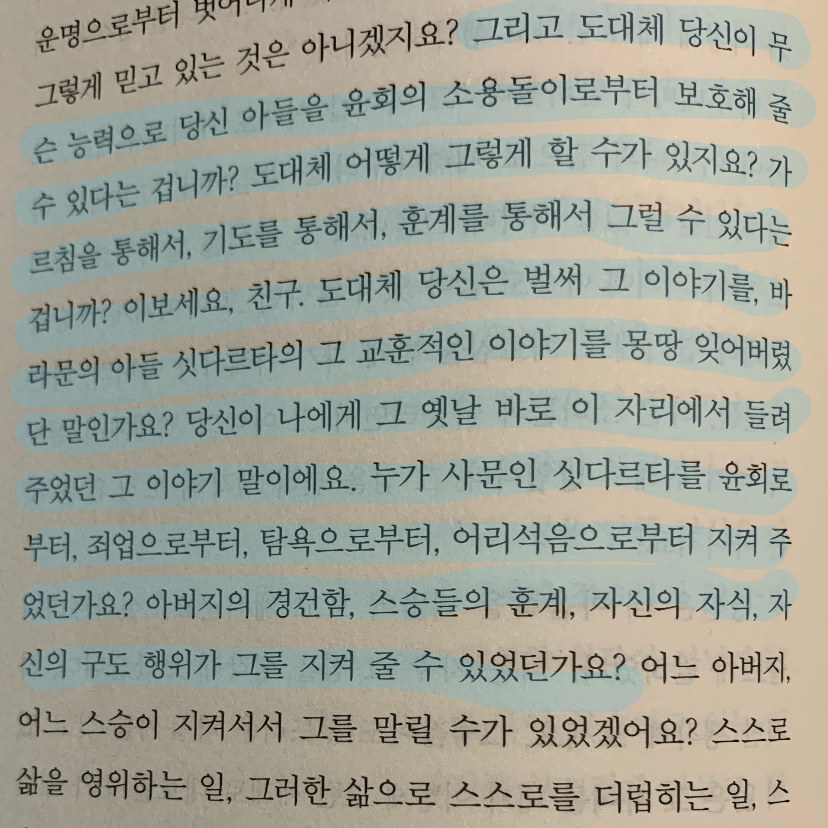 진희님의 싯다르타 게시물 이미지