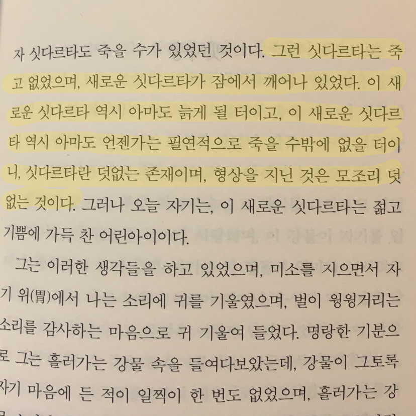 진희님의 싯다르타 게시물 이미지