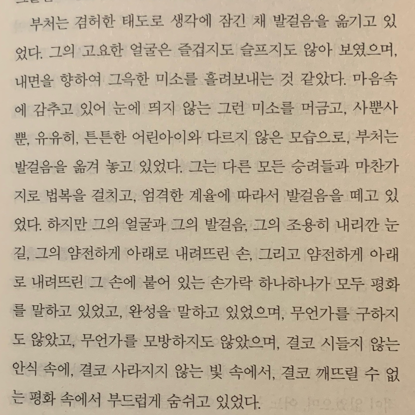 진희님의 싯다르타 게시물 이미지