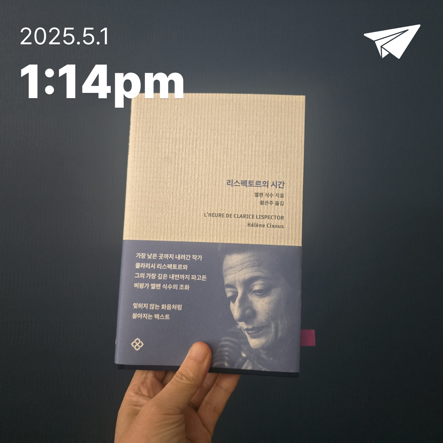 교육학박사  최경희님의 리스펙토르의 시간 게시물 이미지