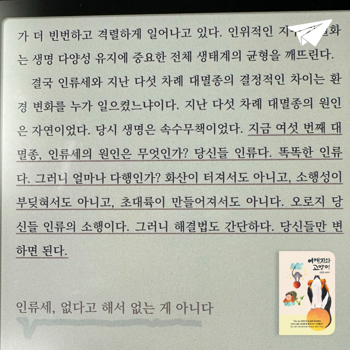 큰목소리님의 여행자와 고양이 게시물 이미지