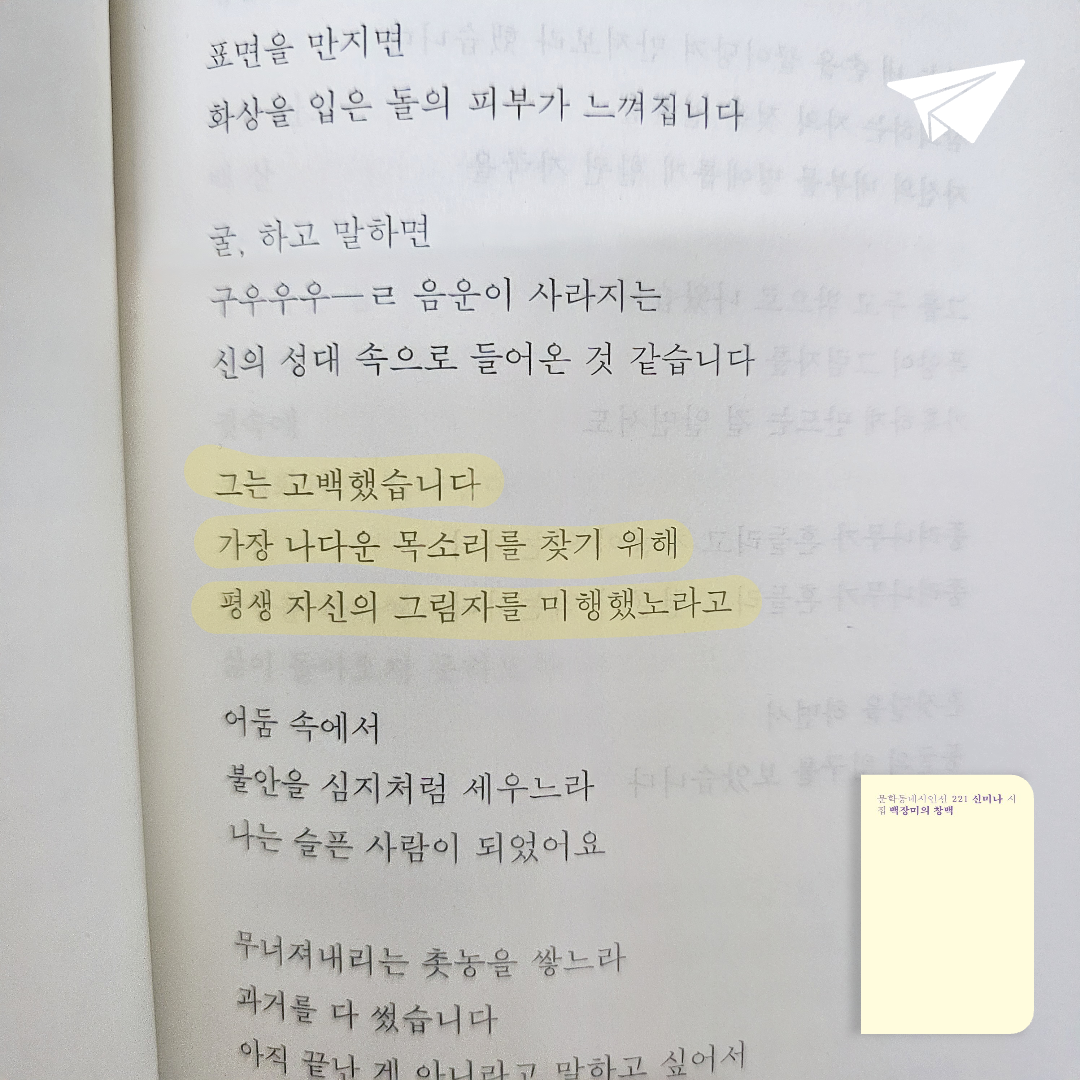 미래님의 백장미의 창백 게시물 이미지