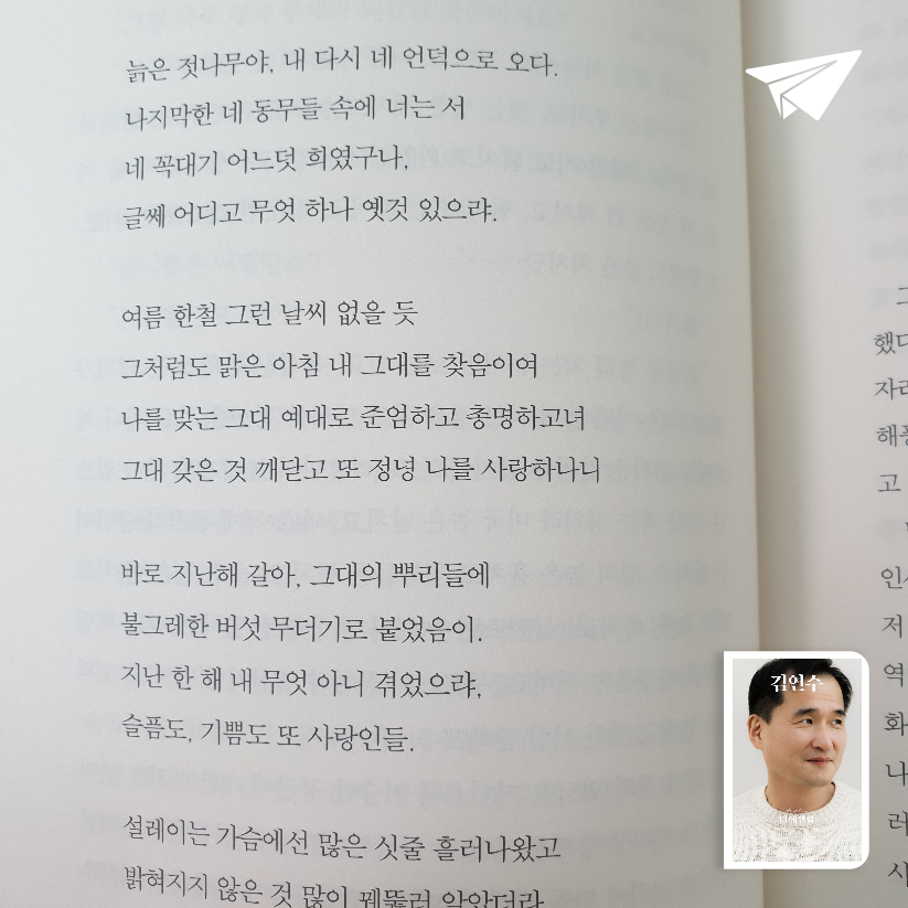 맥거핀님의 디 에센셜 김연수 게시물 이미지