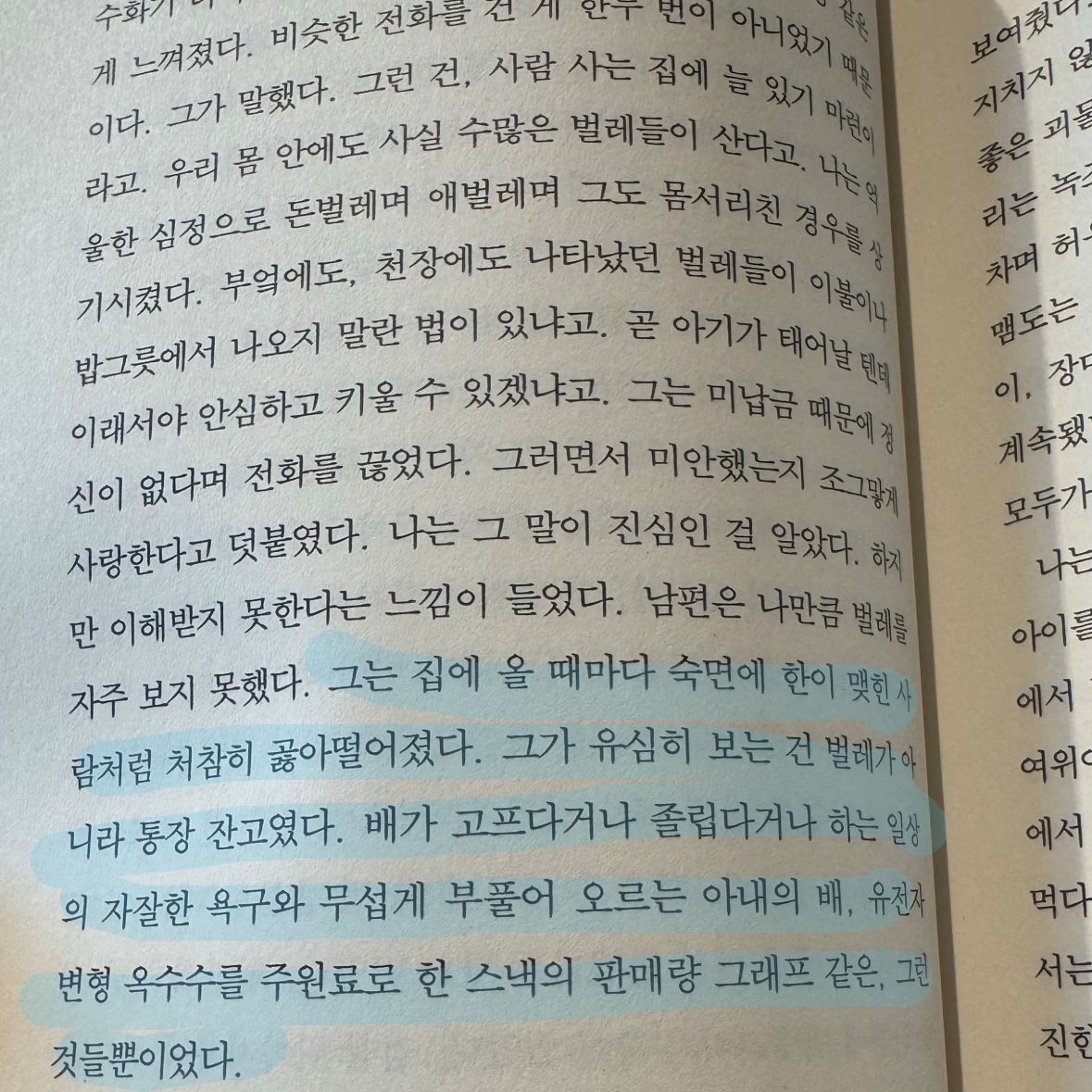 25th hour님의 비행운 게시물 이미지
