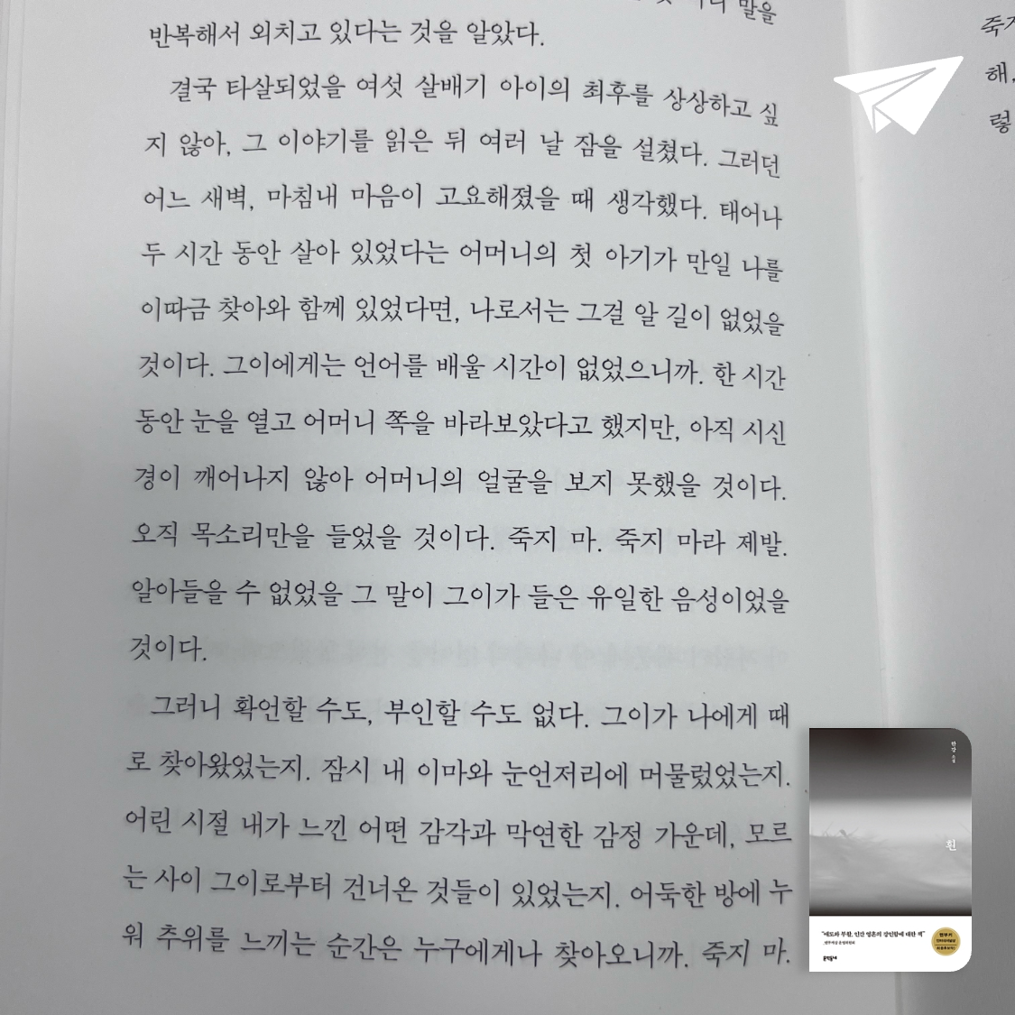 요다요님의 흰 게시물 이미지