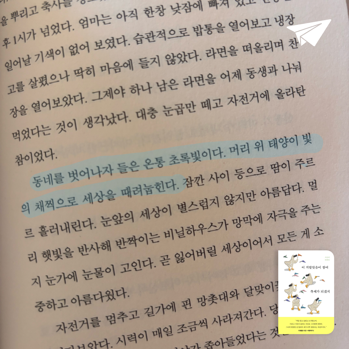 deskdiner님의 이 지랄맞음이 쌓여 축제가 되겠지 게시물 이미지