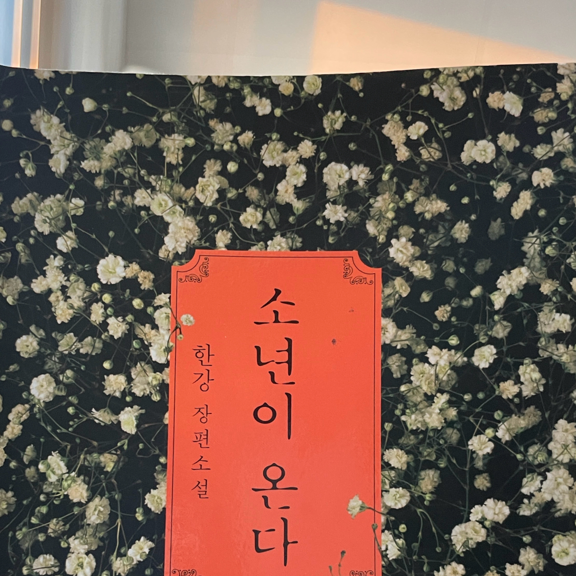 자기전에2닦기님의 소년이 온다 게시물 이미지