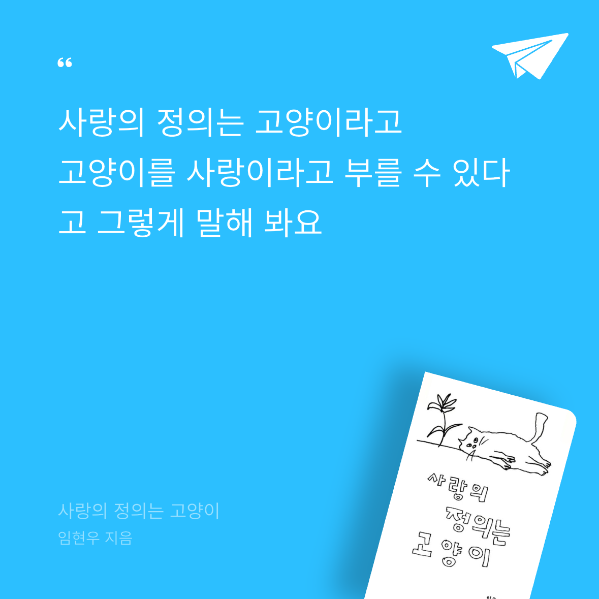 우주님의 사랑의 정의는 고양이 게시물 이미지