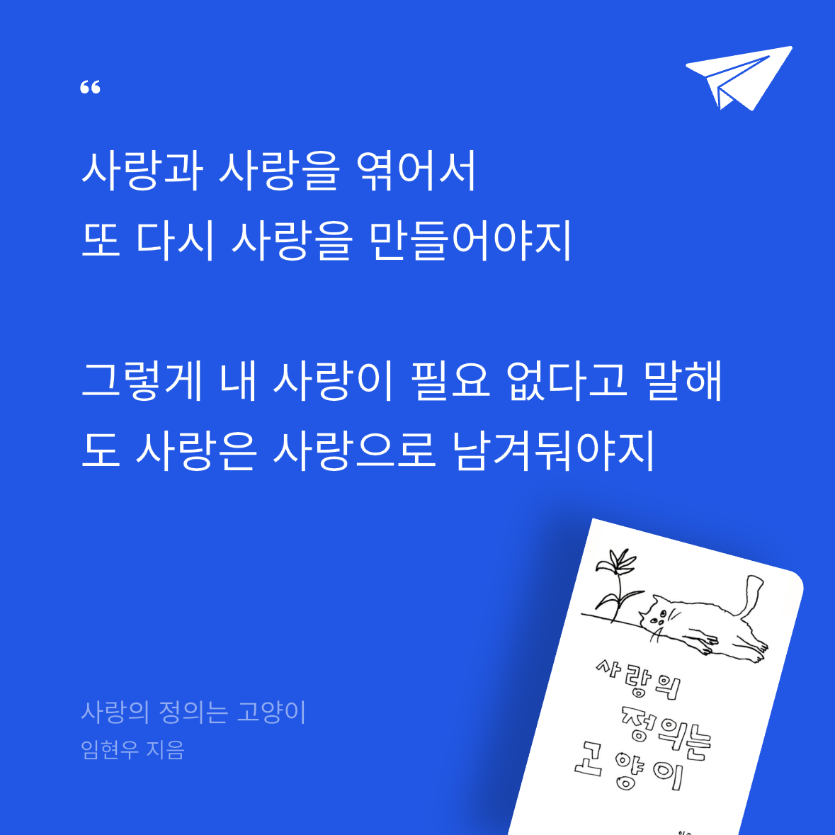 우주님의 사랑의 정의는 고양이 게시물 이미지