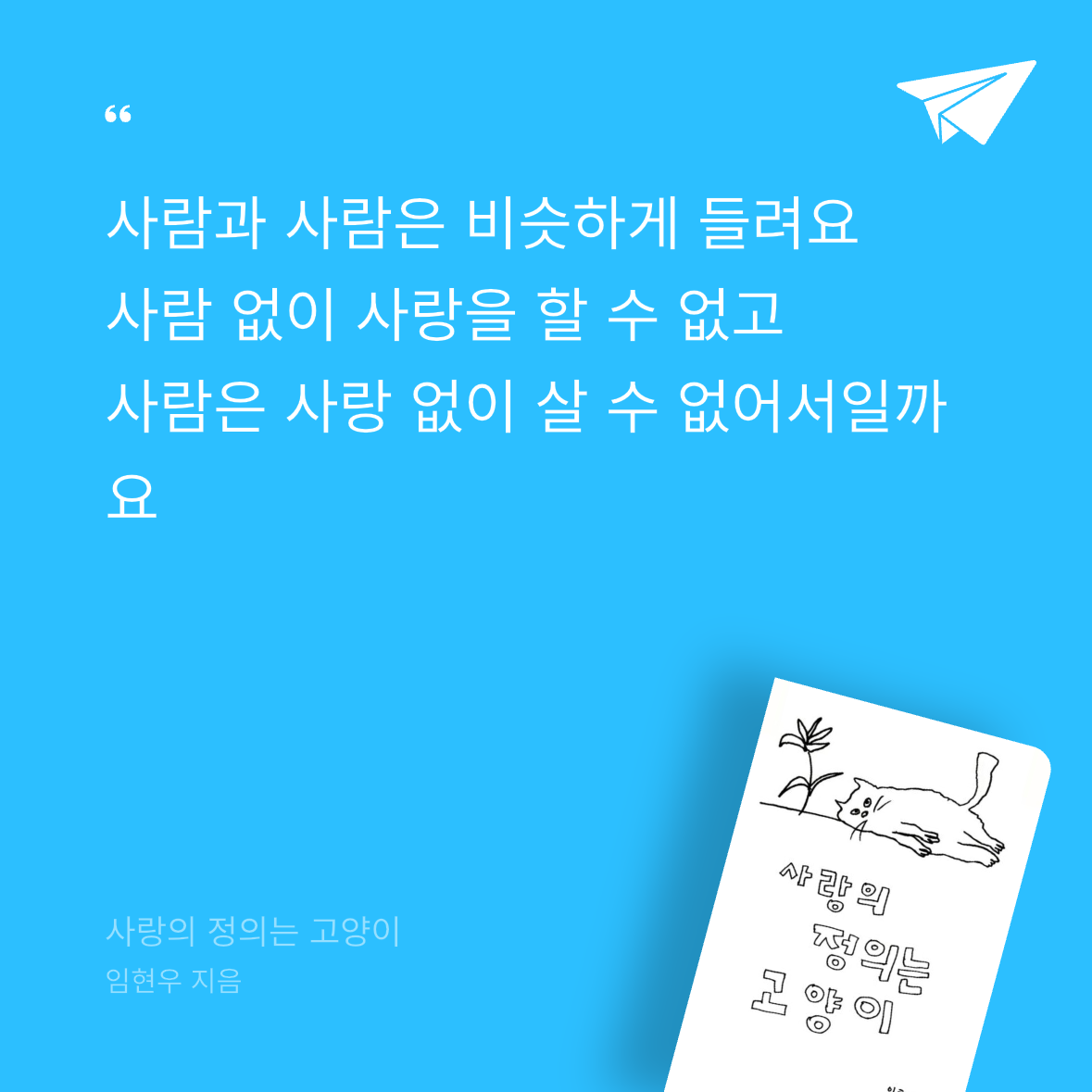 우주님의 사랑의 정의는 고양이 게시물 이미지