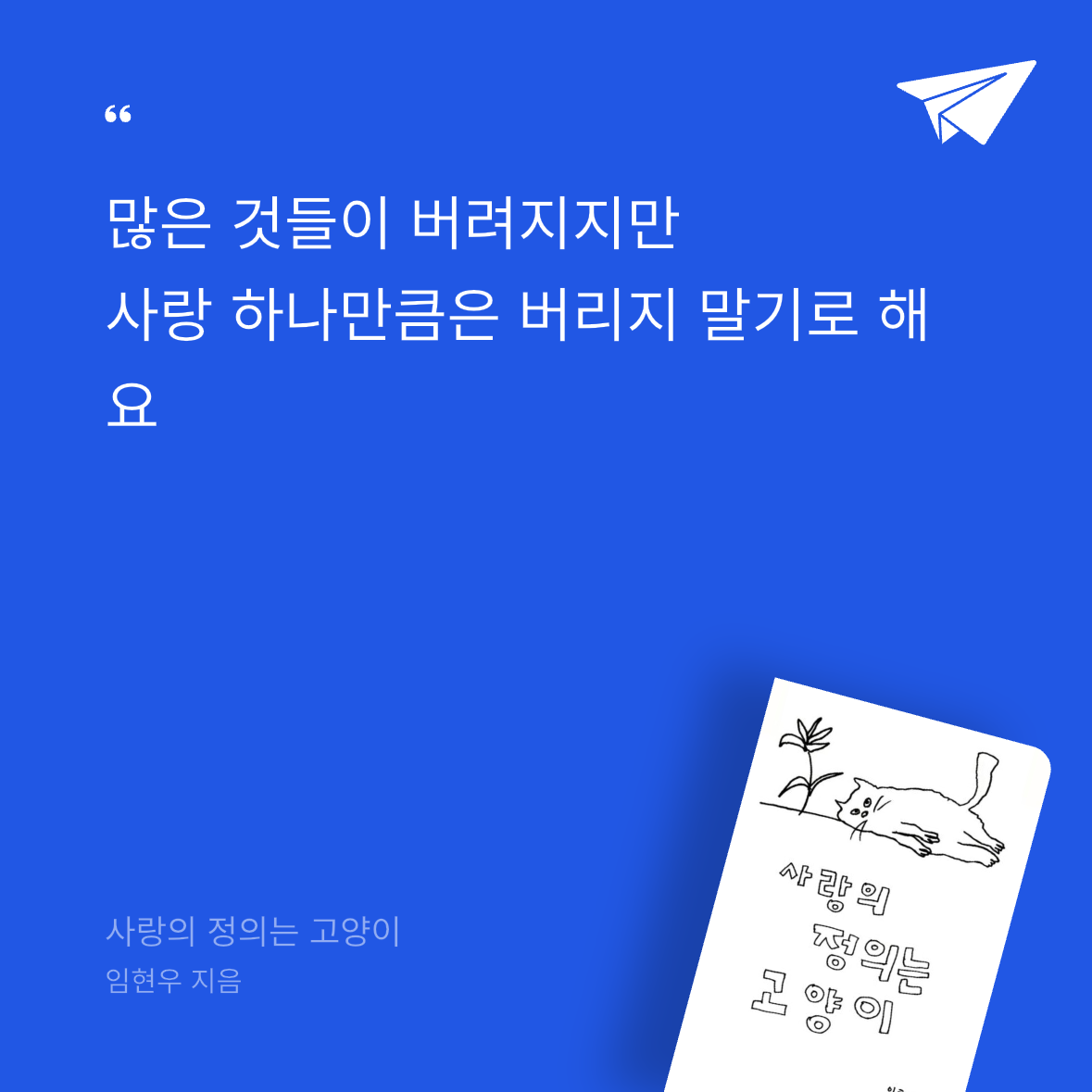 우주님의 사랑의 정의는 고양이 게시물 이미지