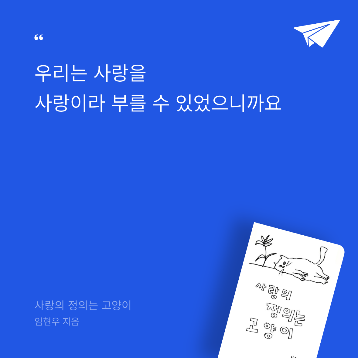우주님의 사랑의 정의는 고양이 게시물 이미지