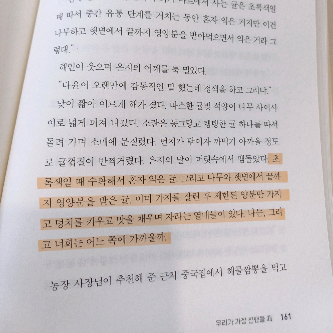 보라죠아29님의 귤의 맛 게시물 이미지