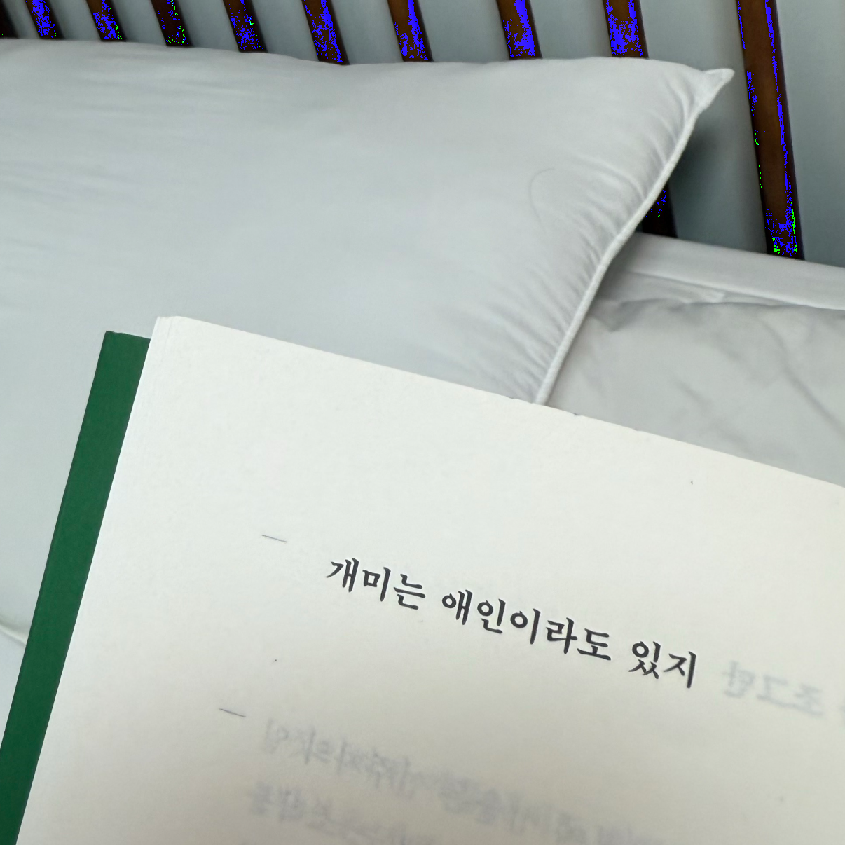 히둥님의 고양이가 키보드를 밟고 지나간 뒤 게시물 이미지