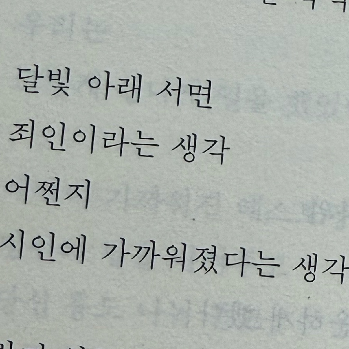히둥님의 고양이가 키보드를 밟고 지나간 뒤 게시물 이미지